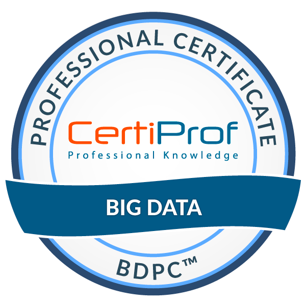 Big Data Professional Certificate